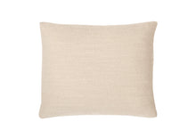 Load image into Gallery viewer, Perry Cushion